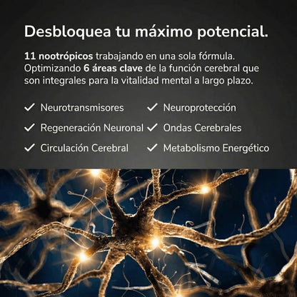 Alpha State® | Claridad y control mental. Pensar mejor. Decidir mejor. Rendir mejor.